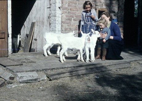 Ziegenstall