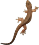 index.html